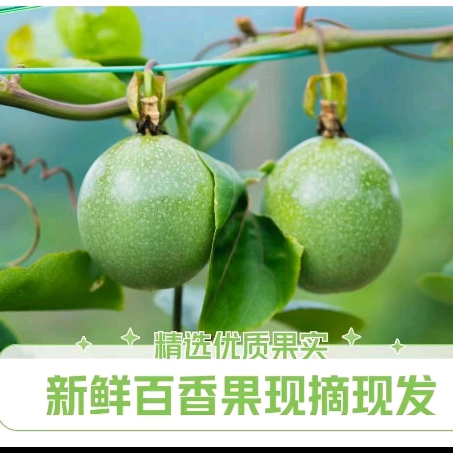 乐知的日常