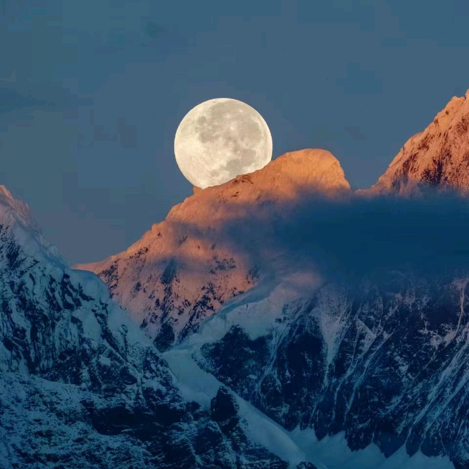 游京的钓鱼日记