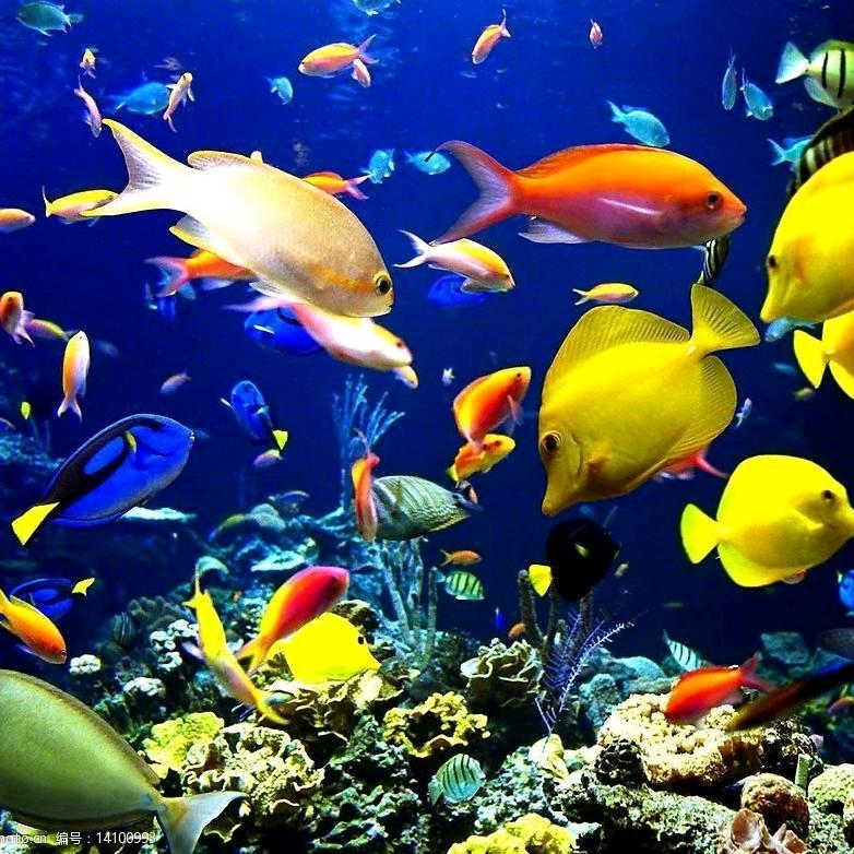 宇哥商贸精品小铺