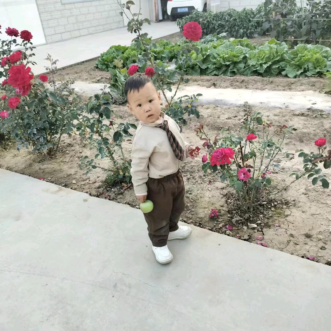 胖丫头🌹🌹
