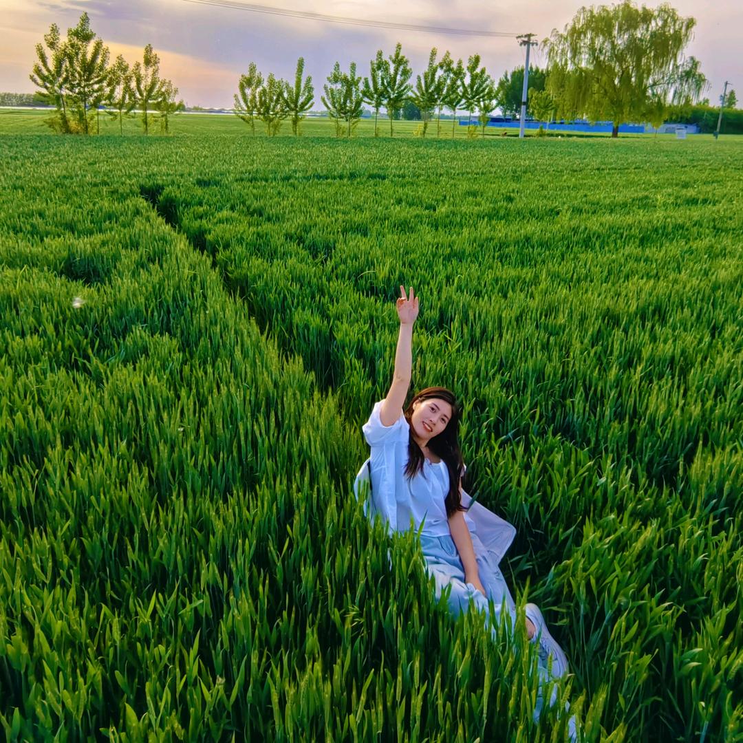 叫我贾小妹