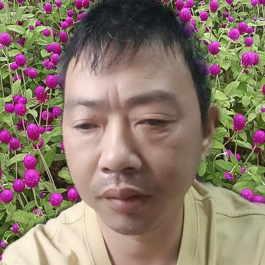 斌哥