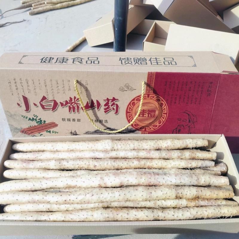 小白嘴山药常年大量批发