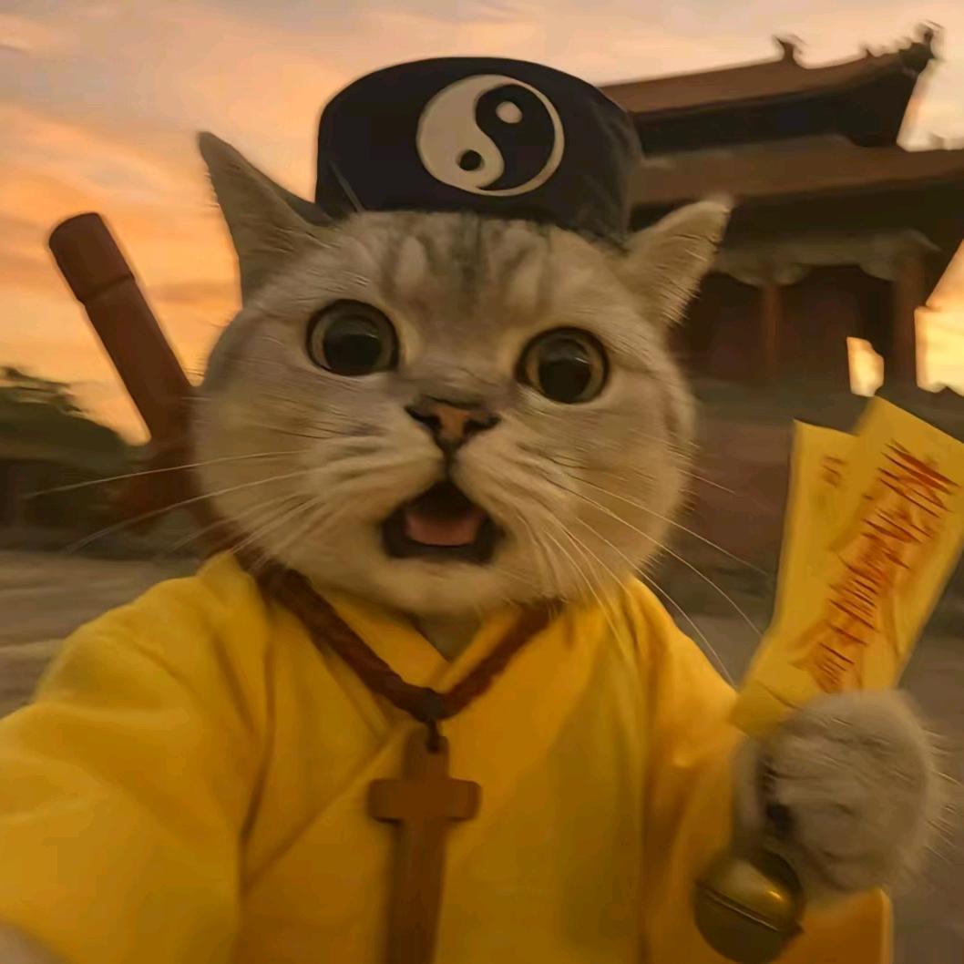 财神驾到🙏