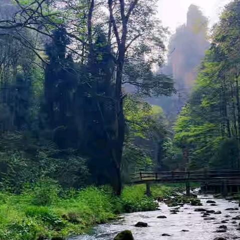 风景甚好988