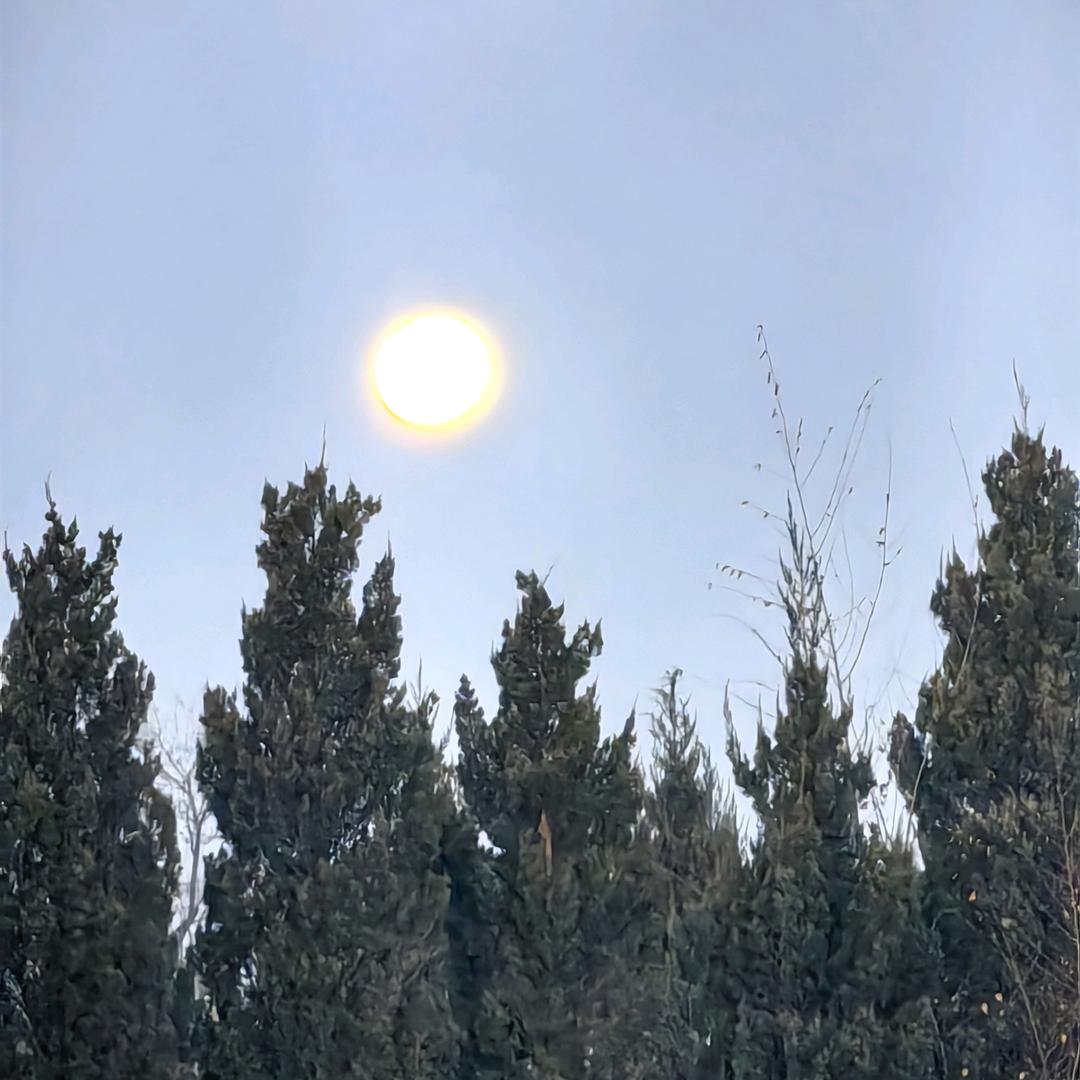 翼哥爱飞行