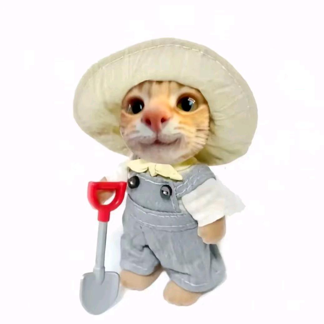 生气的咩
