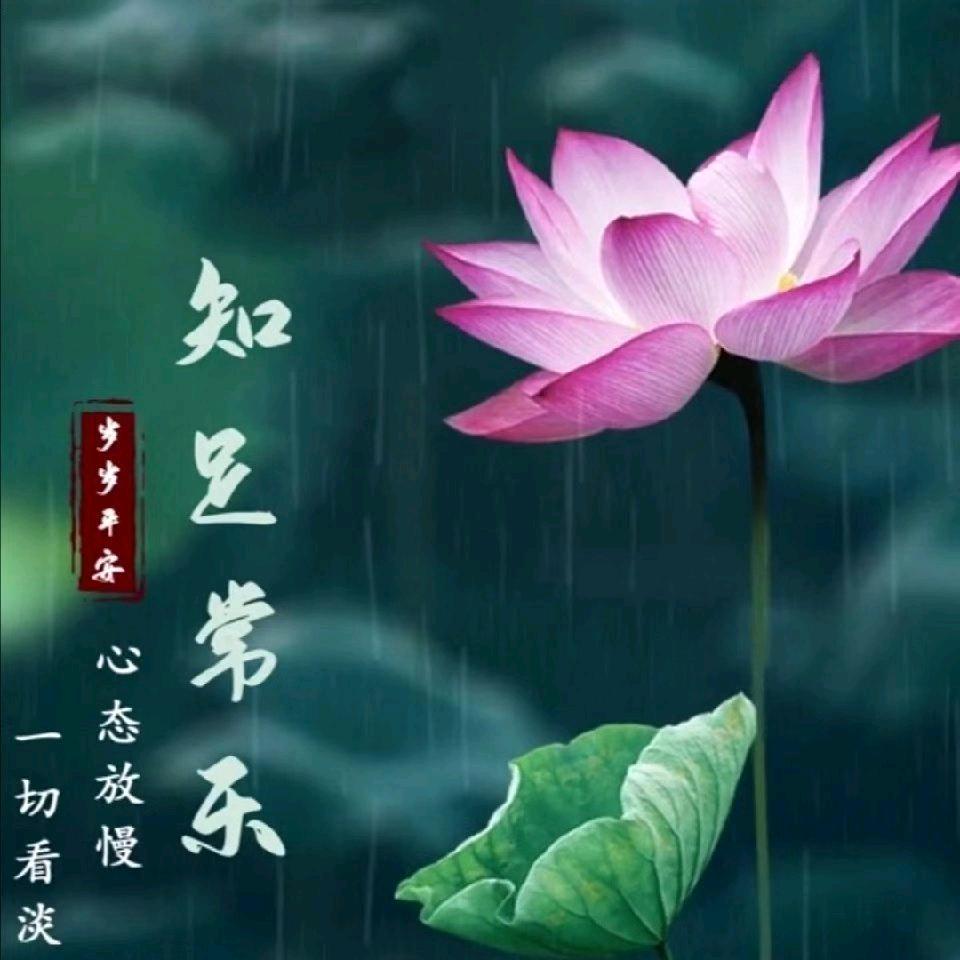 🐝人走茶凉🍀