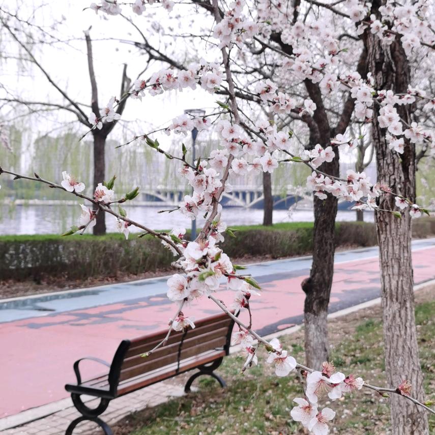 💕💕雨朦朦💕💕