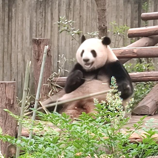 奋斗的做题家