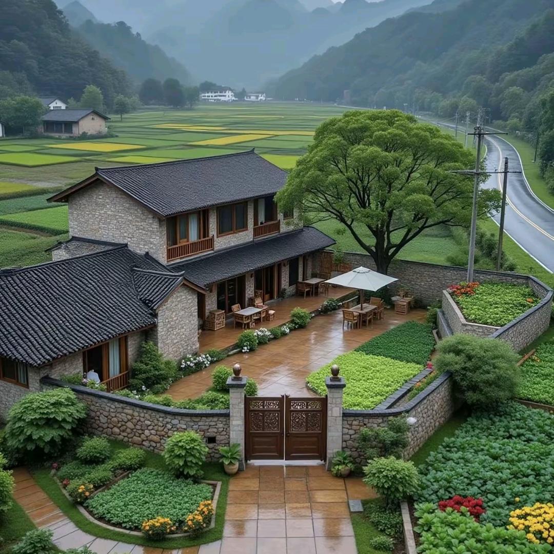 坐看云起