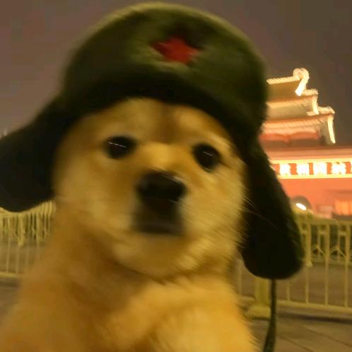UMR