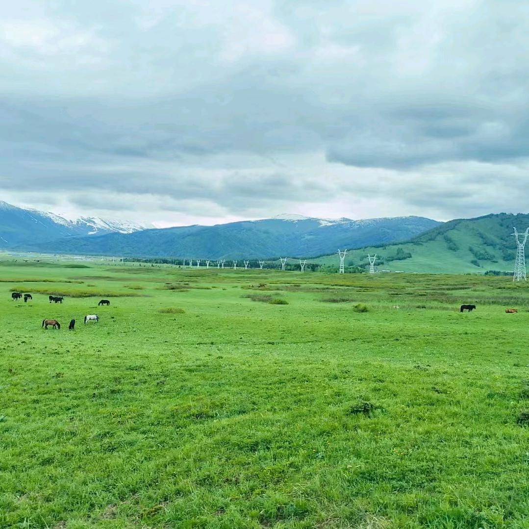 🌈🌈七七宝贝