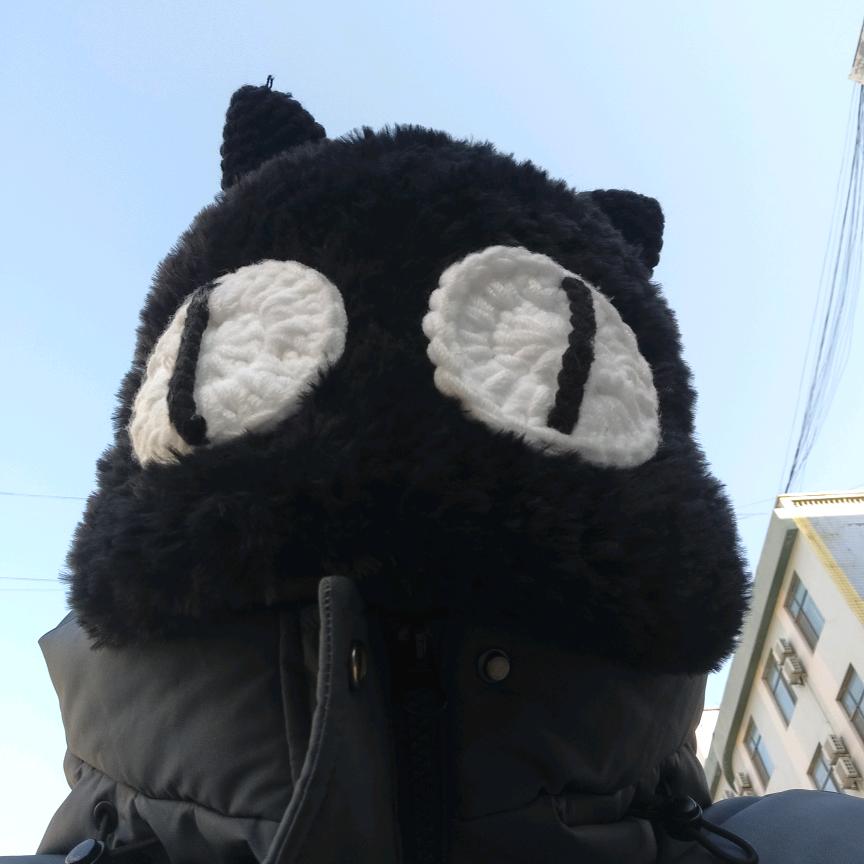 kaasi