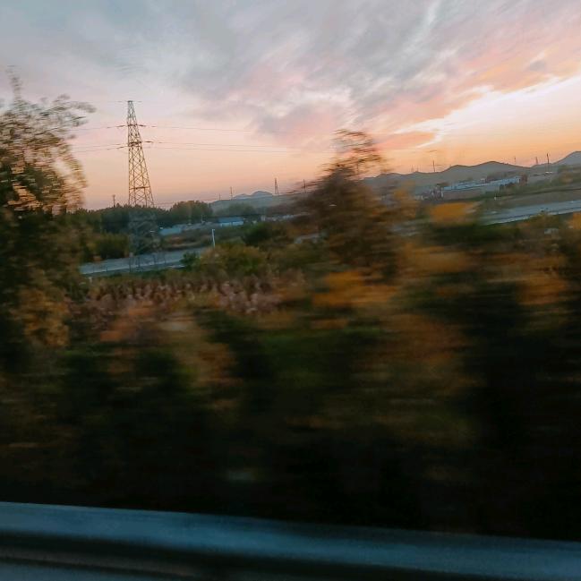 莲花糯糯