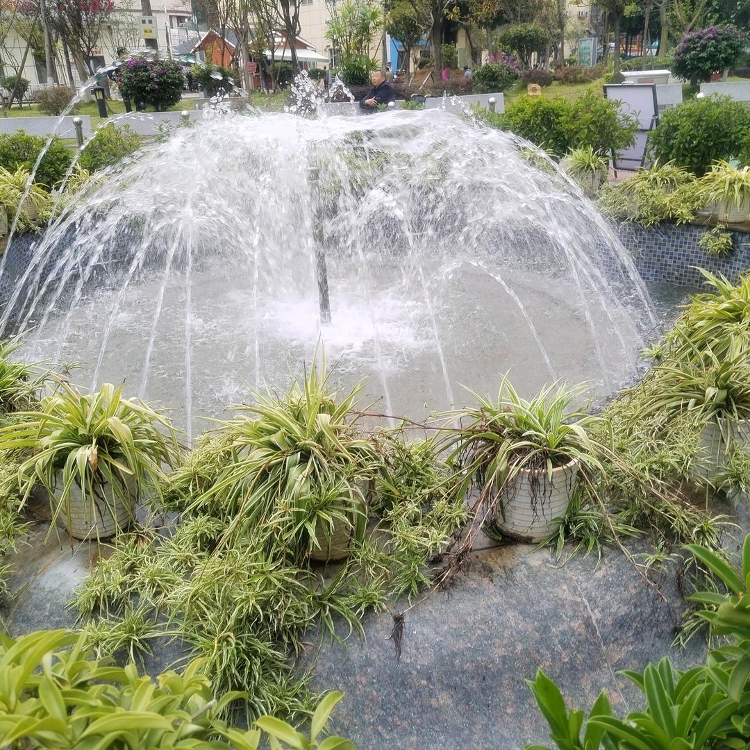 龍素柳
