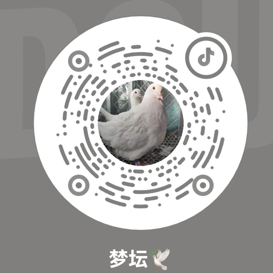 何为♥️梁心