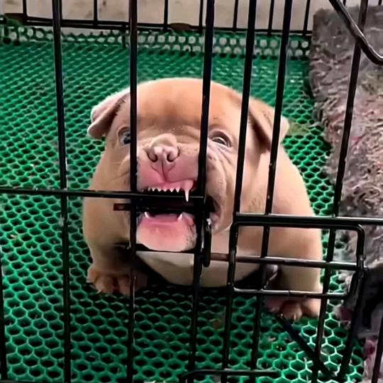 万事万物