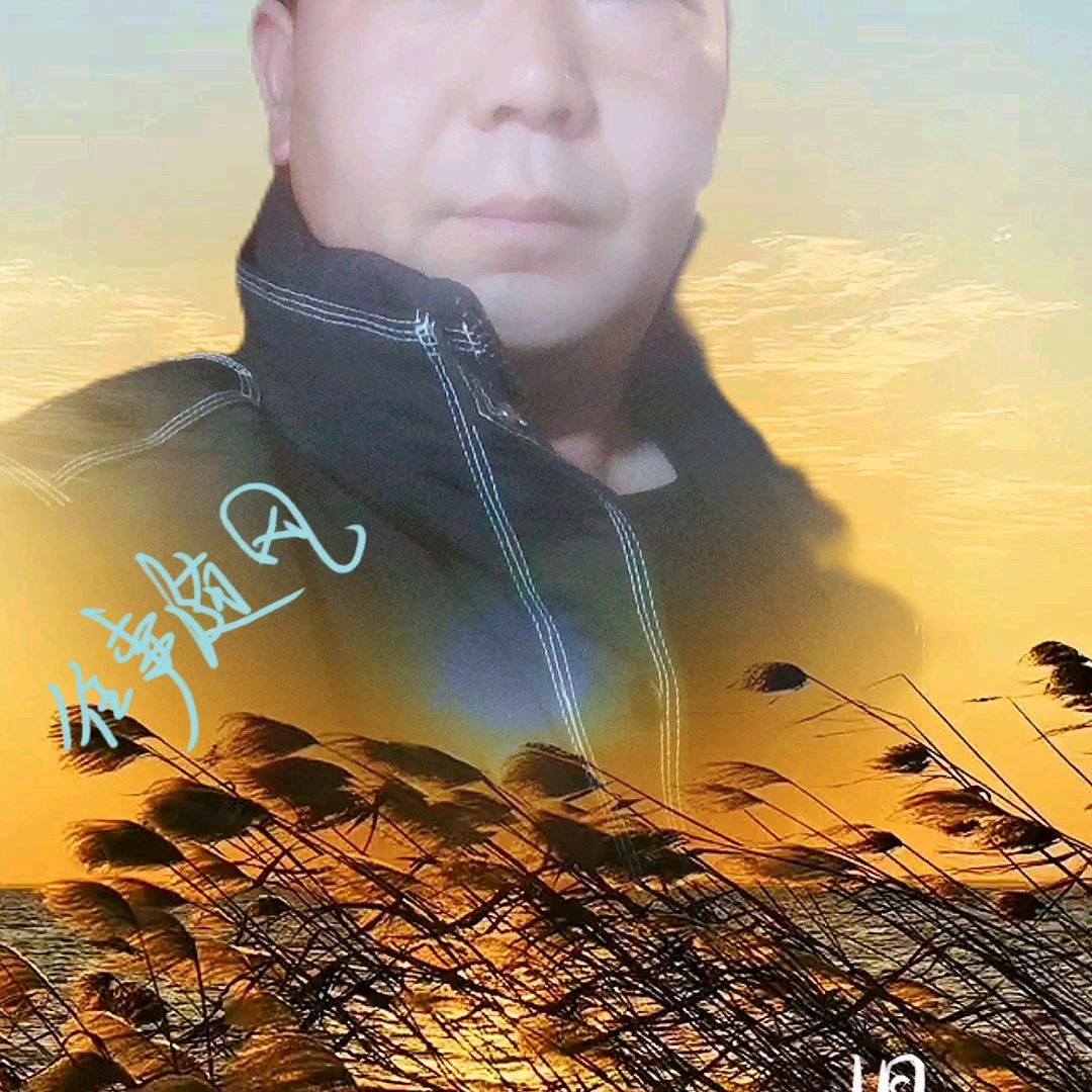 陈哥