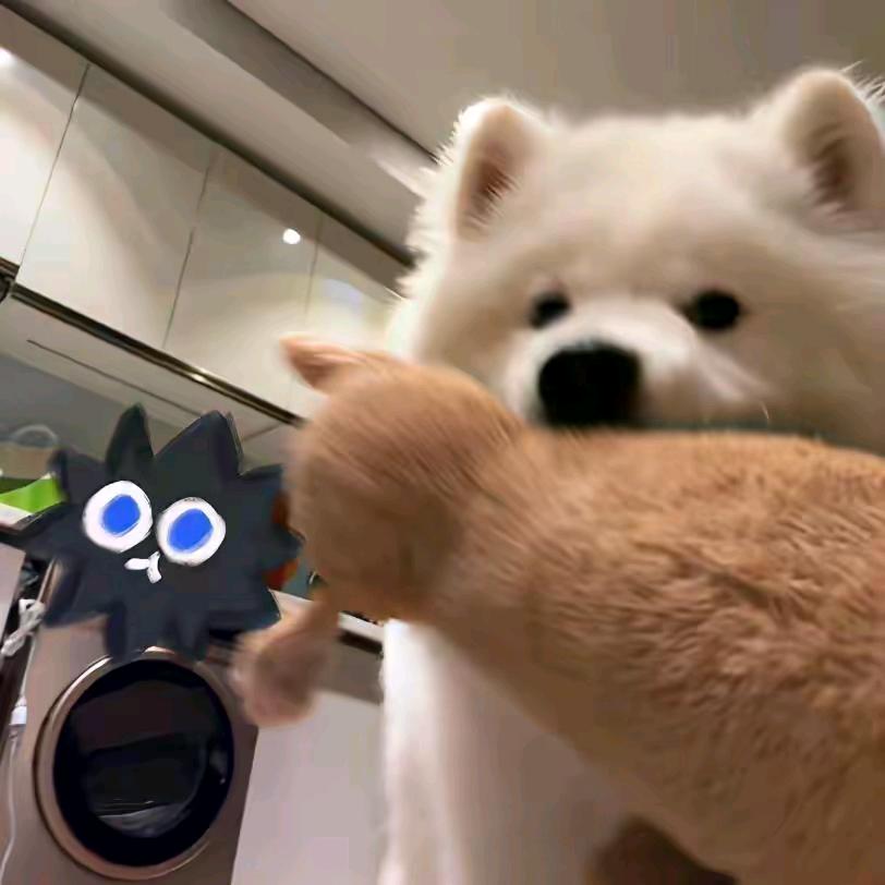 xxxy