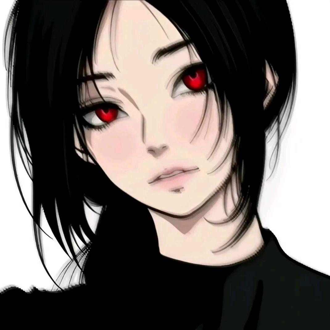 ✨决