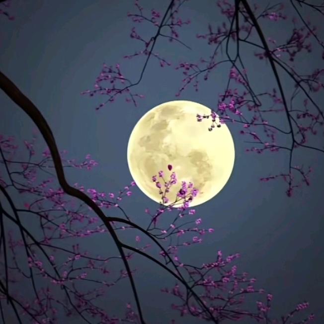 谁的零晨黑了我的夜。
