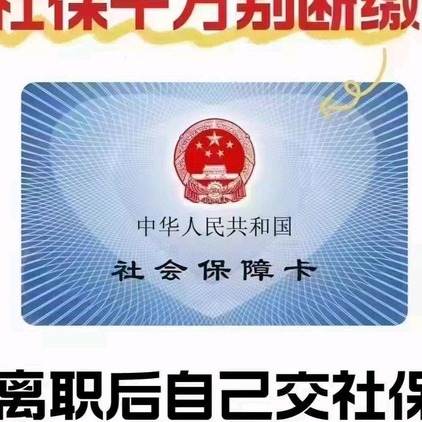 全国养老咨询_新疆小助手