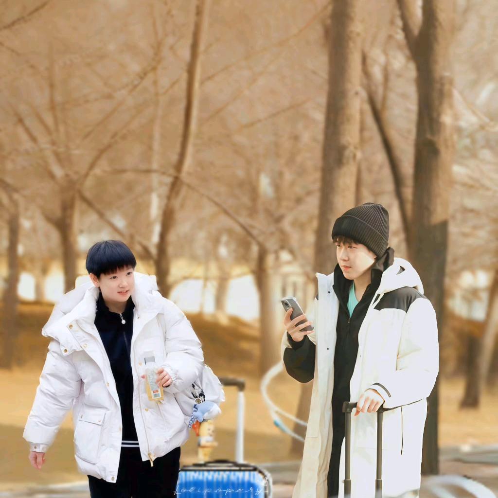 鲨鱼宝宝很可爱