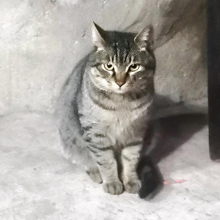 逗你一乐