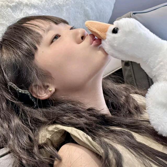 赵紫菲