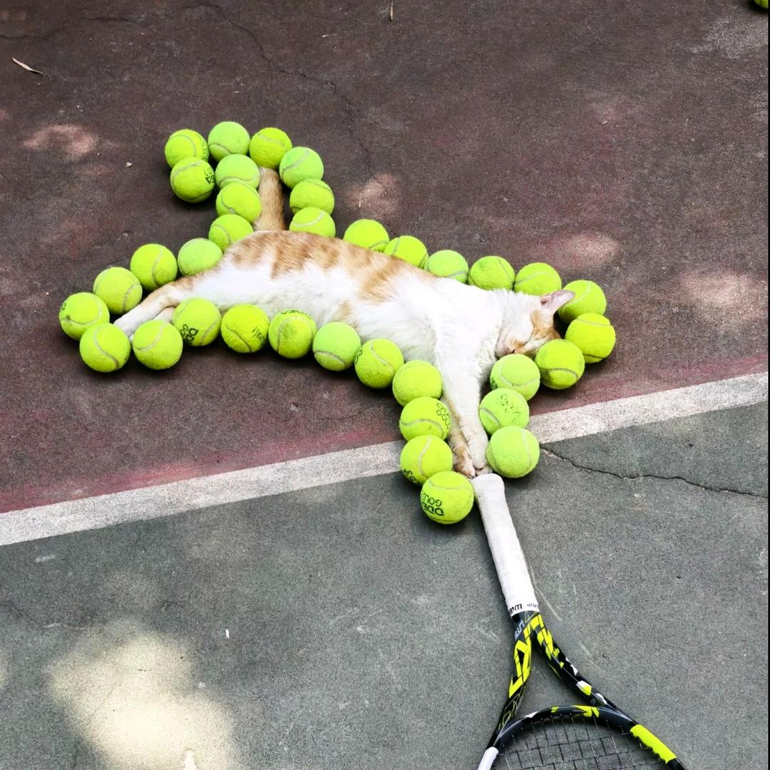 小铭9