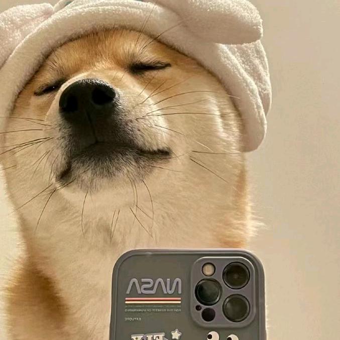 呵呵(ꄱੈˍꄱੈ)  哈哈（＃－.－）