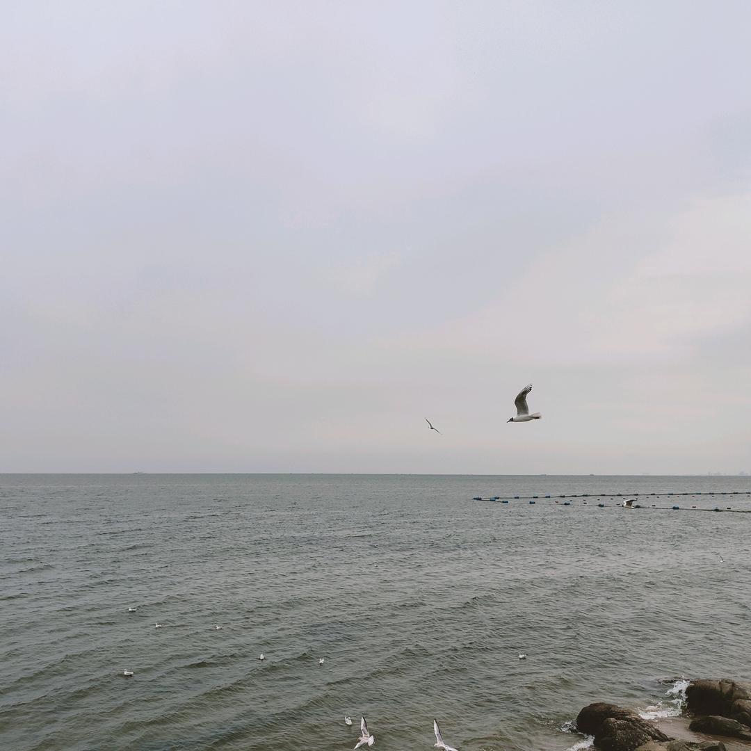 九片棱角。。。