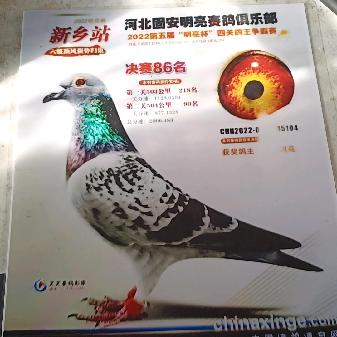 依然