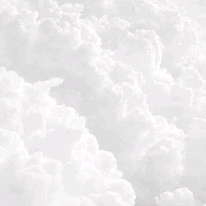 小白-危境