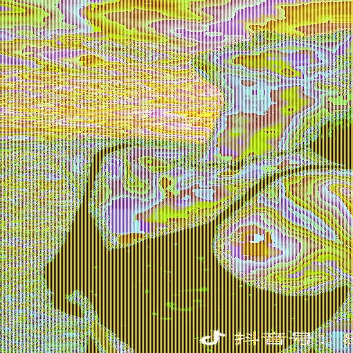 追梦大风车