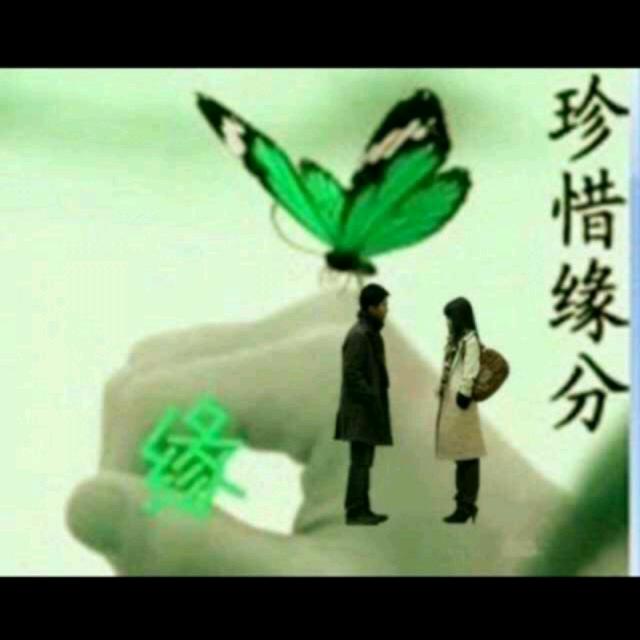 龙四。心云