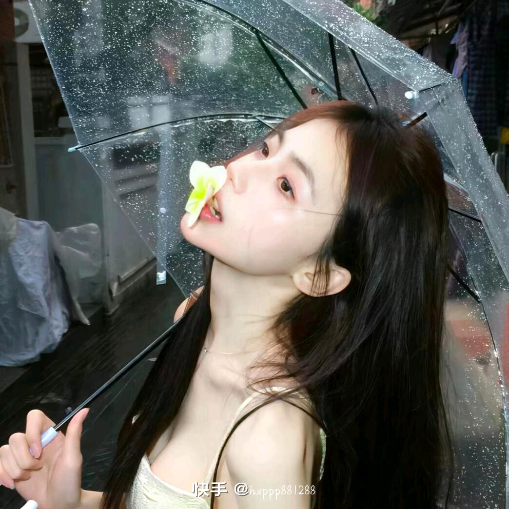 北极熊