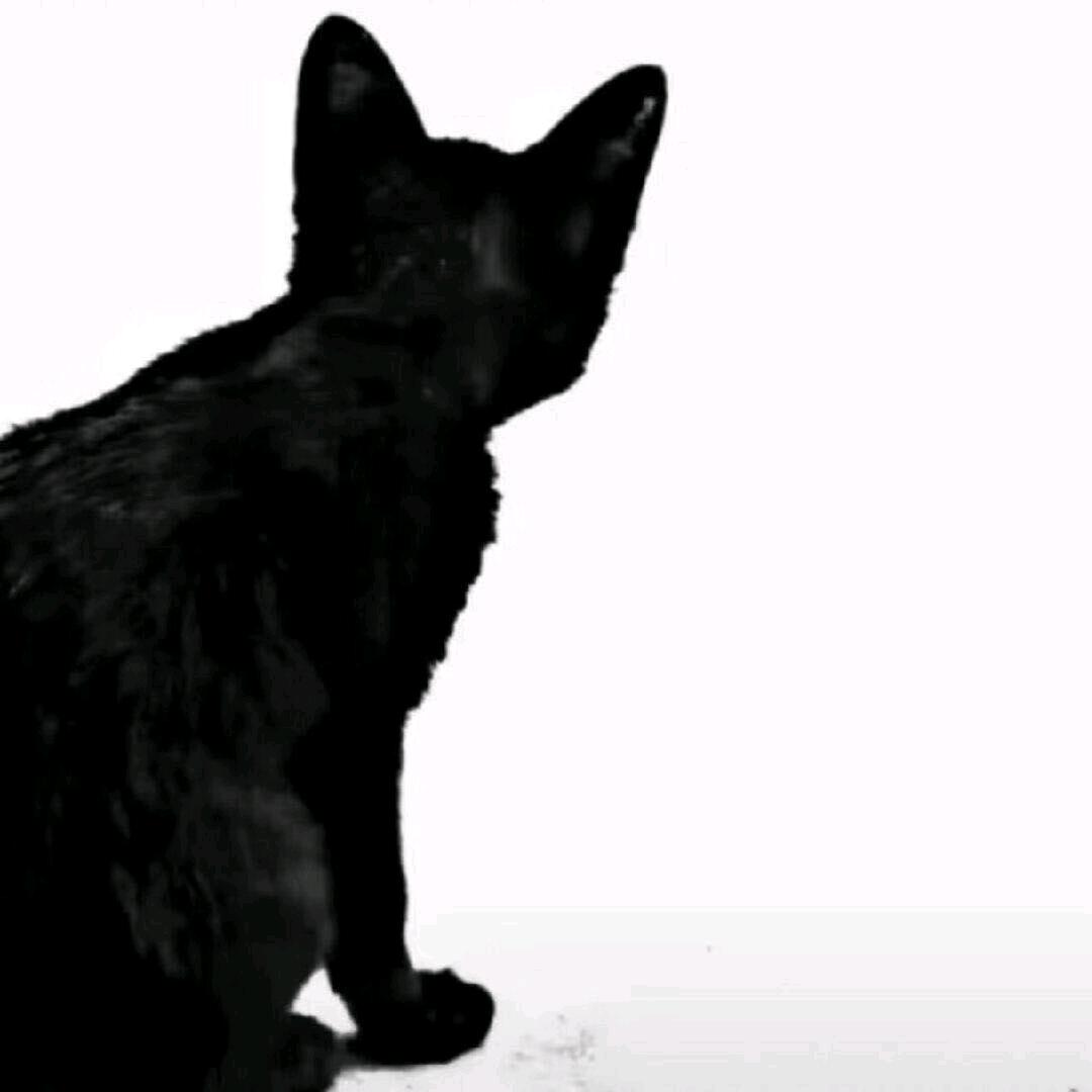 不争馒头争口气