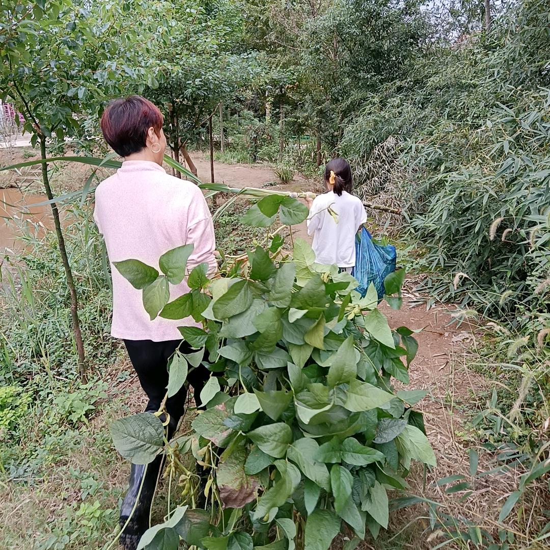 桐姐顶弟外婆🍎