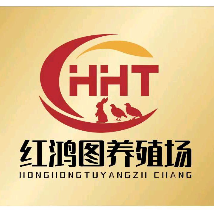 红鸿图老蔡鹧鸪