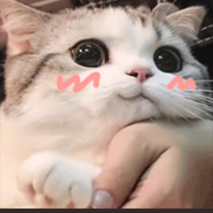 贵