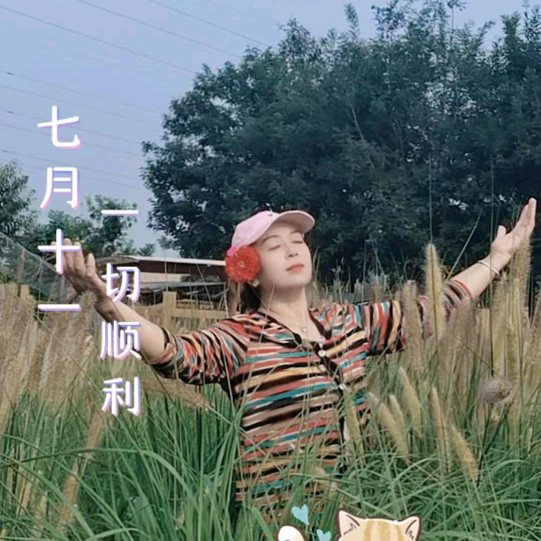 百合北大冉辉子流动餐厅