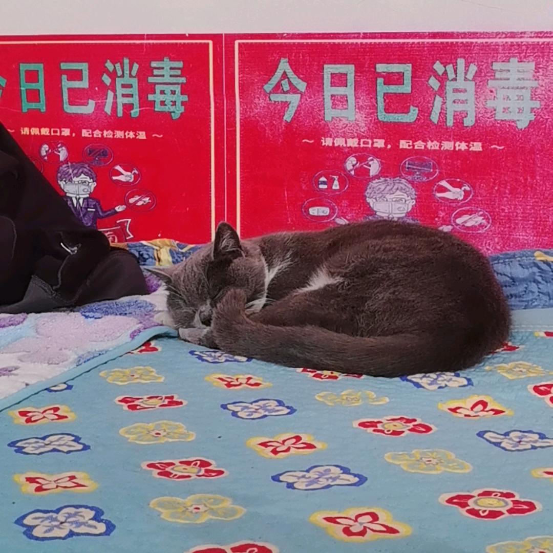 快乐