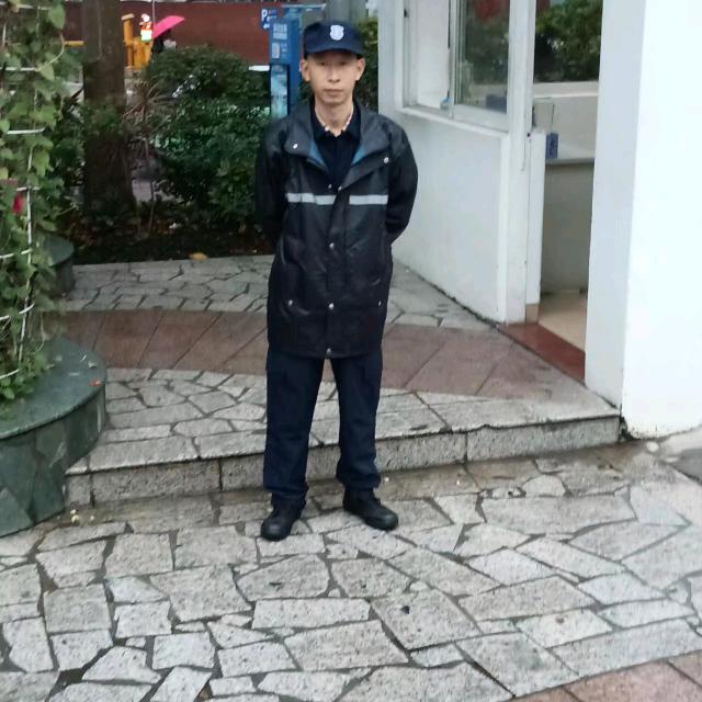 卫冬