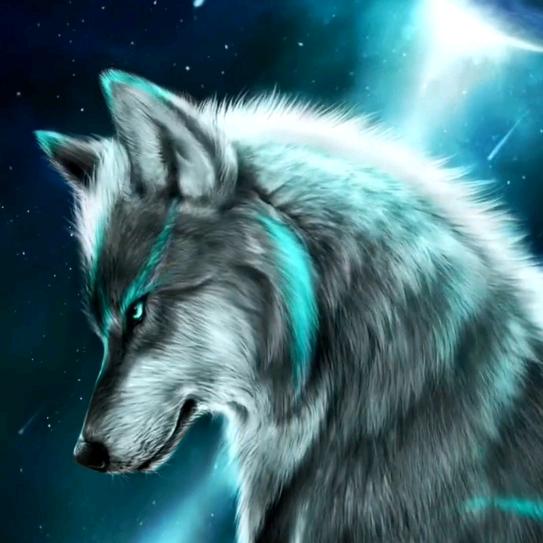 ༺ཉི།独具蒋心❤།ཉྀ༻ 斯日古楞