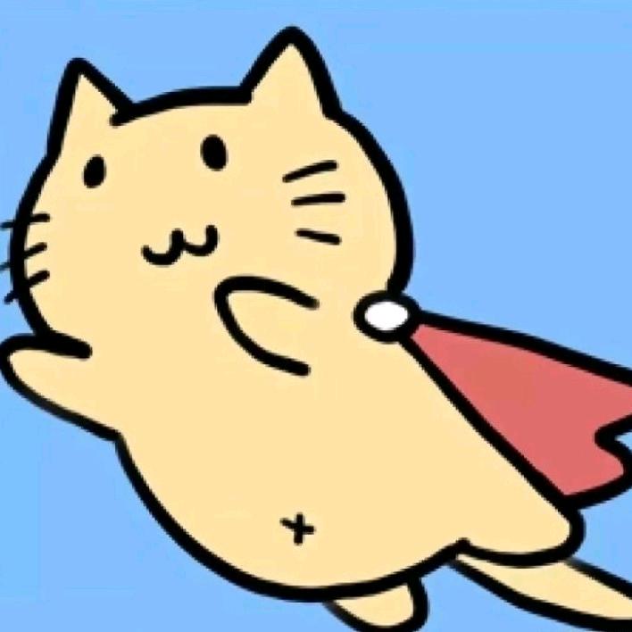 飞猫
