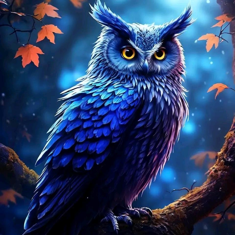 猫头鹰🦉AI