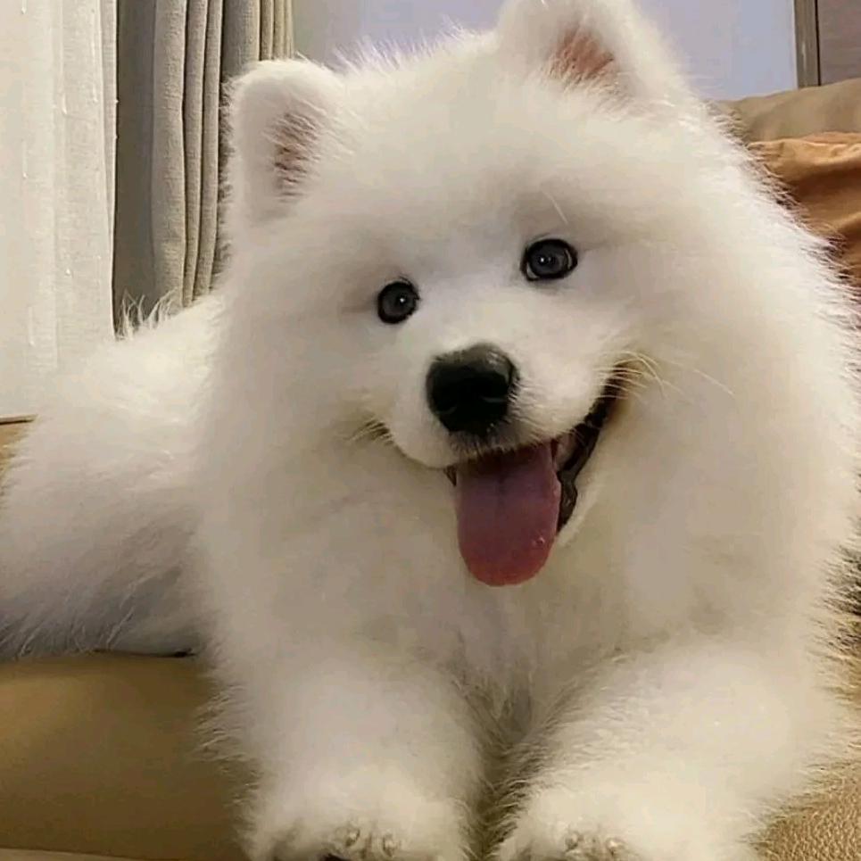蓝天