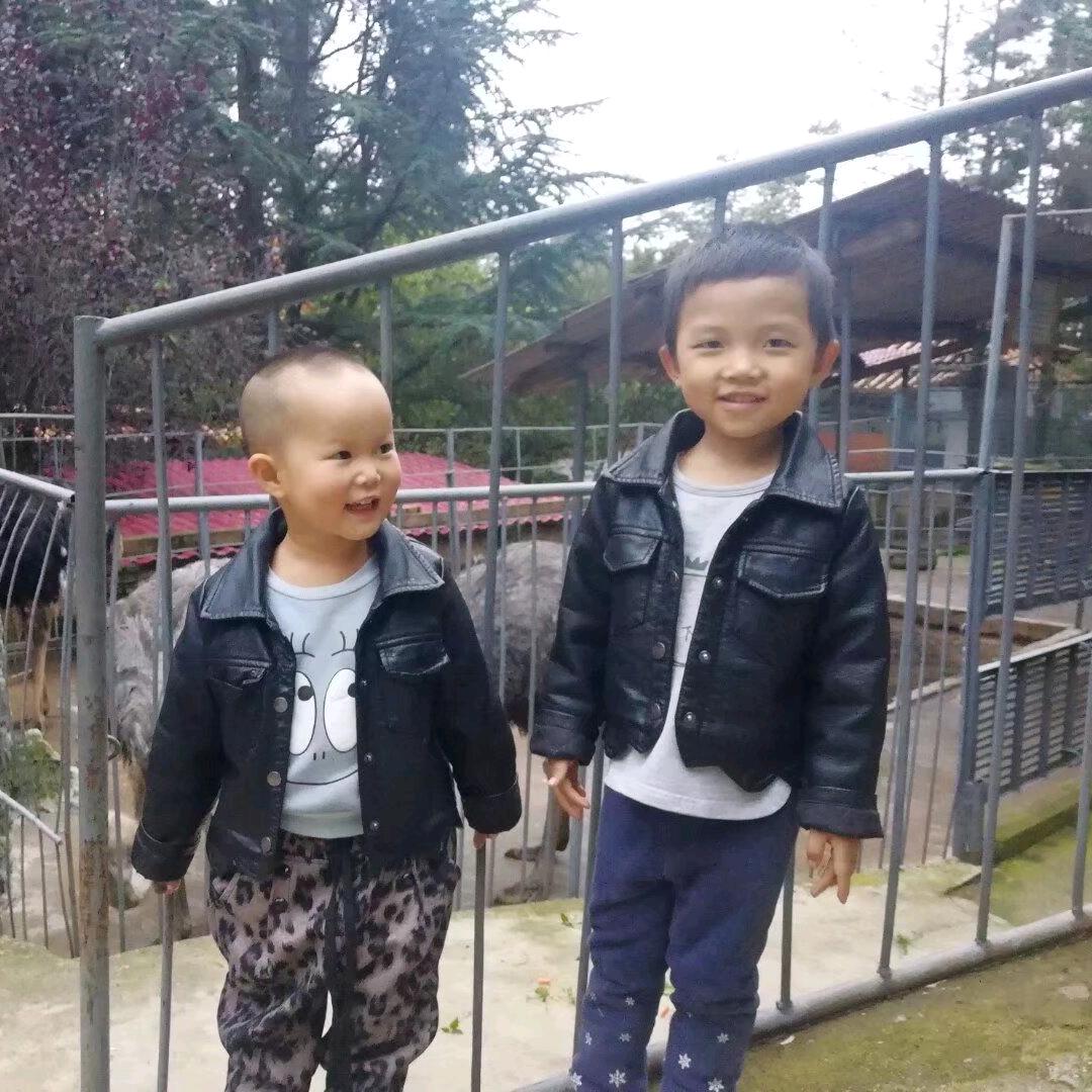 无情可破万局